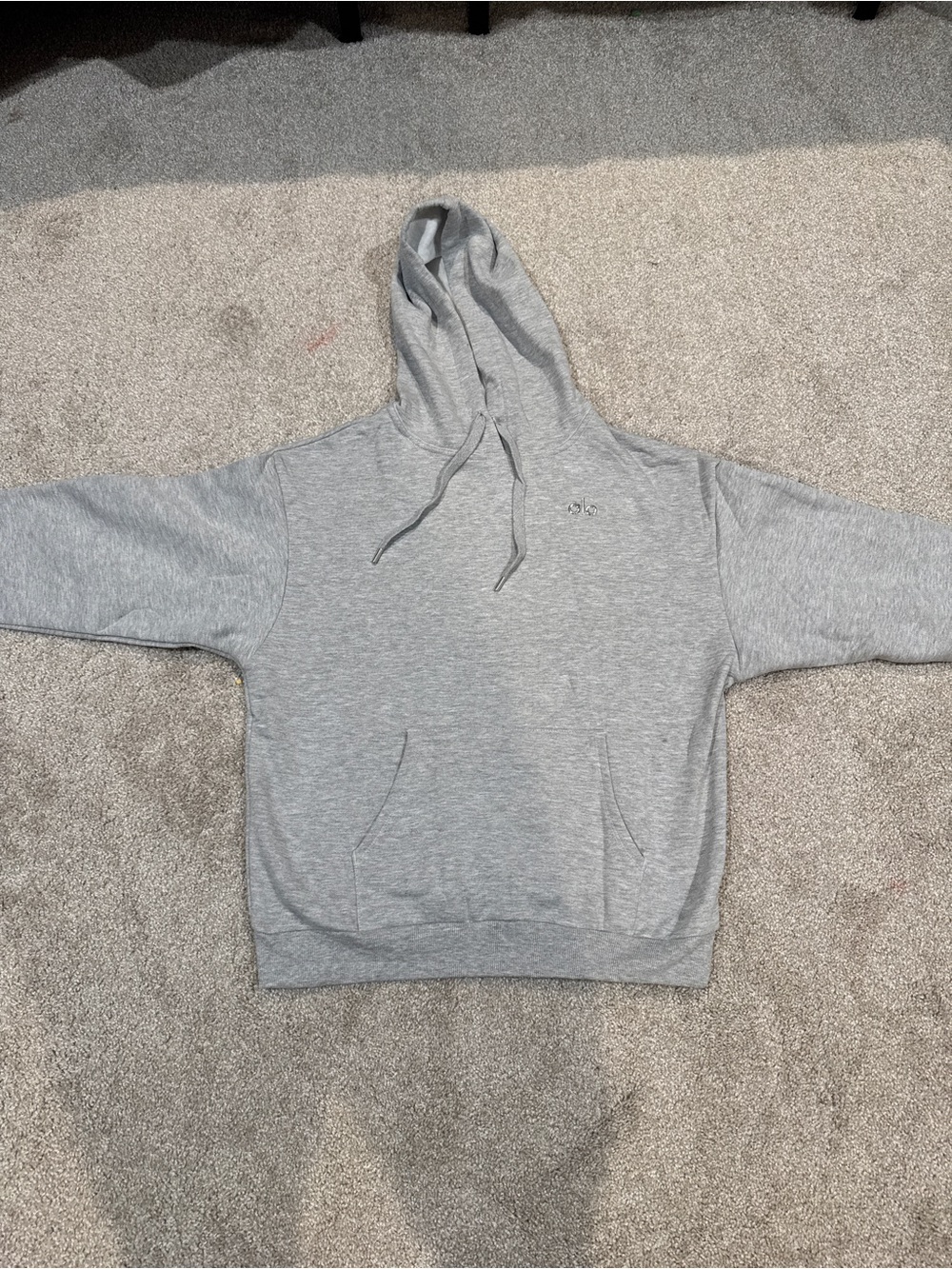 ALO Hoodie
